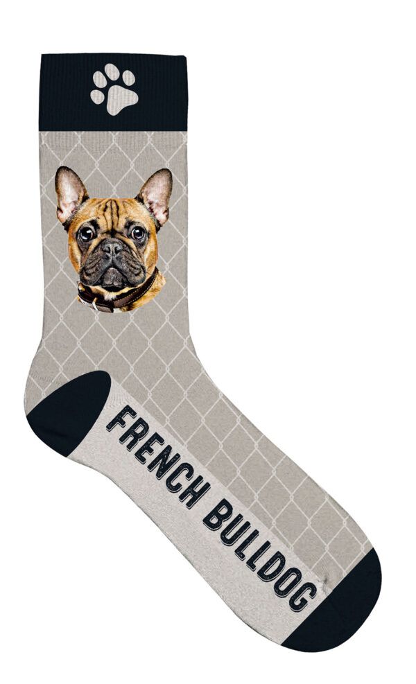 Sock French Bulldog 42-45