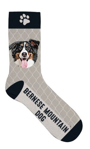 Sock Bernese Mountain Dog 36-41