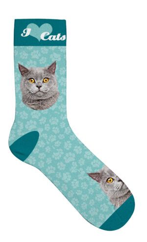 Sock Grey Tabby Cat 36-41