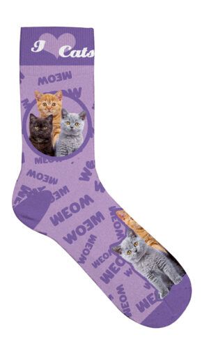 Sock Cat Collage 36-41