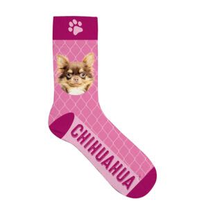 Sock Chihuahua 42-45