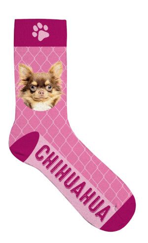 Sock Chihuahua 42-45