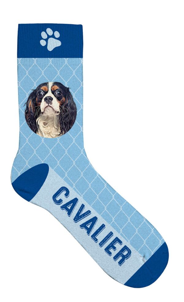 Sock Cavalier 36-41