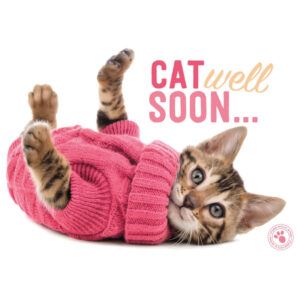 Kaart Myrna ENG Cat Well (h)