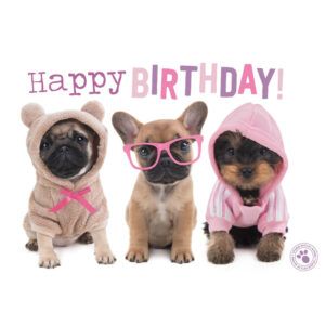 Kaart Myrna ENG Happy B 3 Dogs (h)