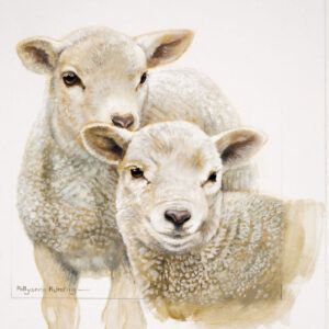 Kaart CS Cute Lambs