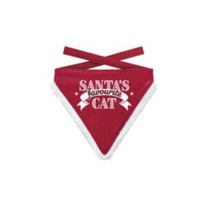 Bandana S Favourite Cat