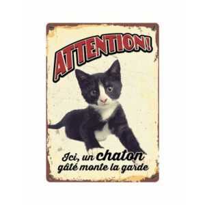 Panneau Métallique Chaton
