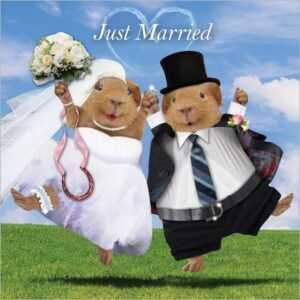 Sq Kaart Guin Pigs Just Married