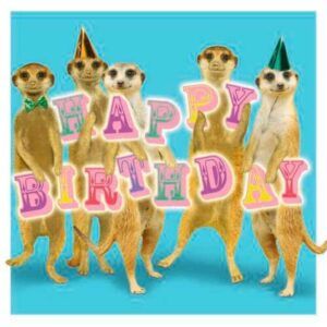 Sq Kaart Meerkats Birthday