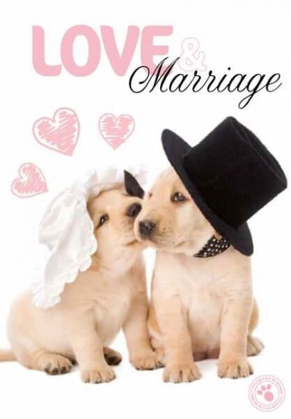 Kaart Myrna ENG Love Marriage (v)