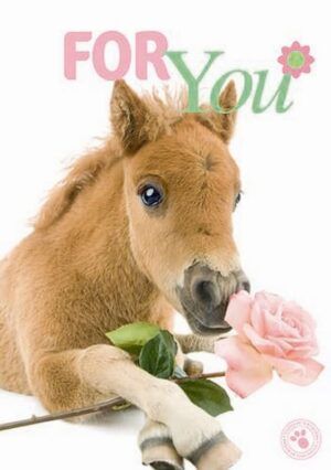 Kaart Myrna ENG For You Pony (v)