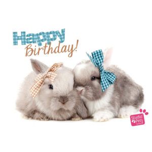 Kaart Myrna ENG Happy B Rabbits (h)