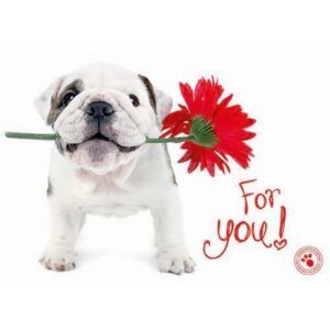 Kaart Myrna ENG For You Flower Bull (h)