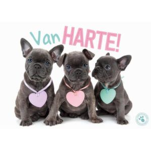 Kaart Myrna NL Van Harte! (h)
