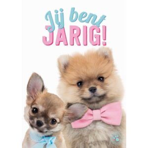 Kaart Myrna NL Jij Bent Jarig! (v)