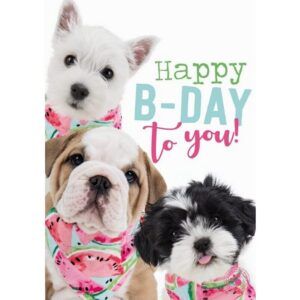 Kaart Myrna ENG Happy B-Day To You! (v)