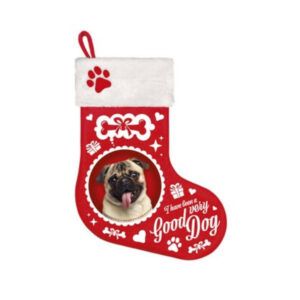 Stocking Pug