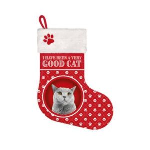 Stocking Kat Grijs Brits