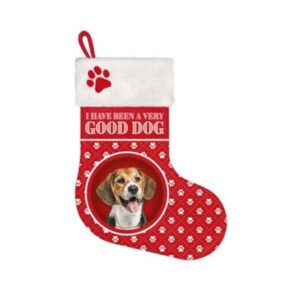 Stocking Beagle