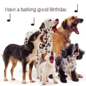 Sq Kaart Dog Song