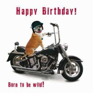 Sq Kaart Easy Rider