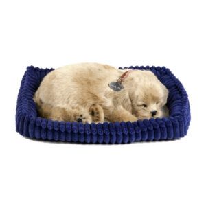 Perfect Petzzz Golden Retriever
