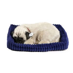 Perfect Petzzz Pug