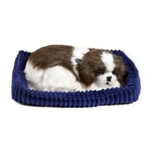 Perfect Petzzz Shih Tzu