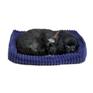 Perfect Petzzz Black Lab