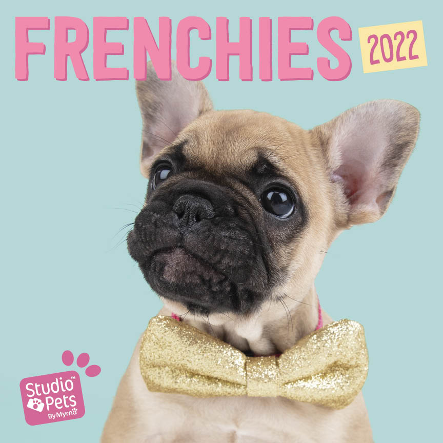 French Bulldogs Studio Pets Kalender 2021 