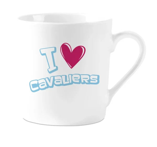 Mok PG I love Cavaliers – Bild 2