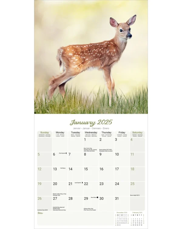 Kalender 25 Baby Animals as - Afbeelding 3