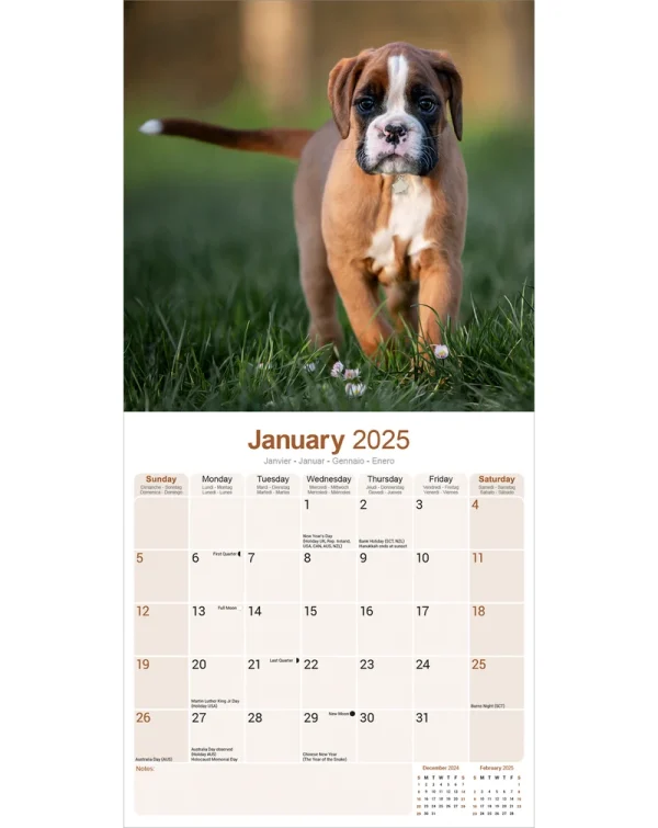 Kalender 25 Boxers as - Afbeelding 3