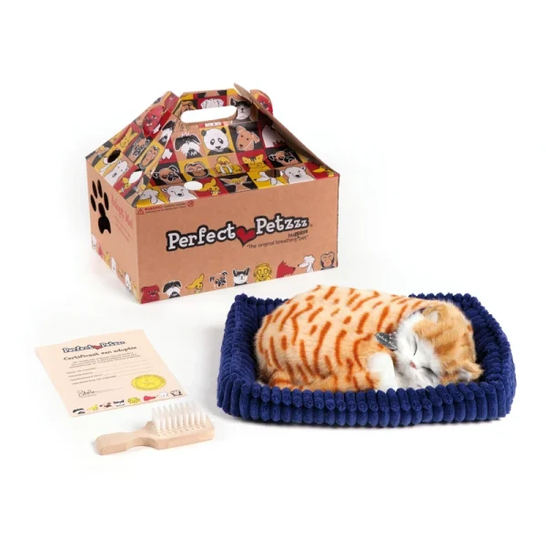 P Petzzz soft Orange Tabby - Image 2