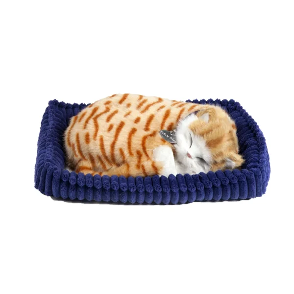 P Petzzz soft Orange Tabby