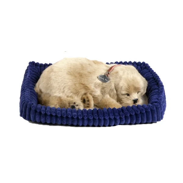 P Petzzz soft Golden Retriever