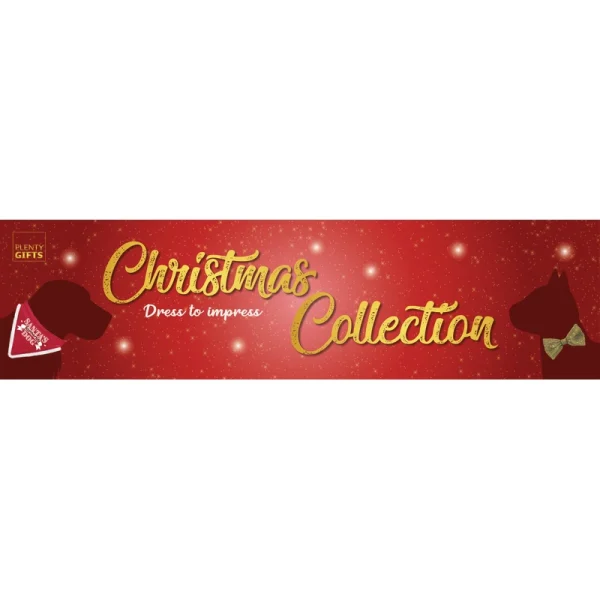 Header Card Xms Collection
