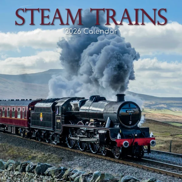 262093